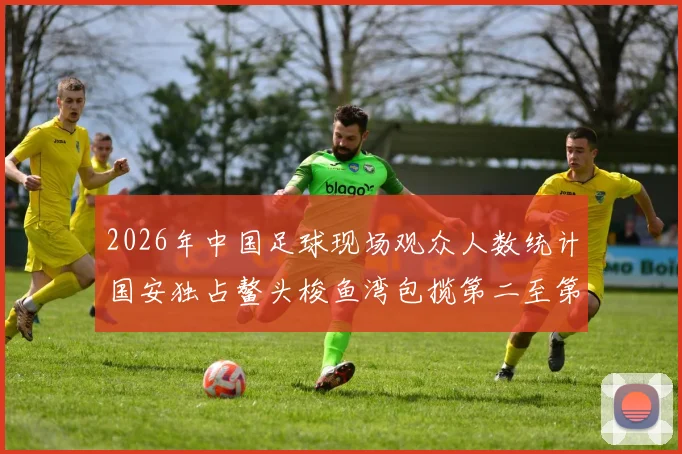 2026年中国足球现场观众人数统计国安独占鳌头梭鱼湾包揽第二至第七位